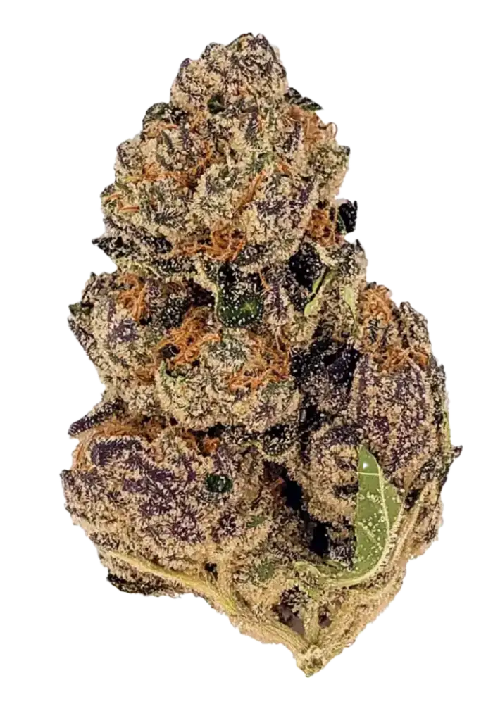 Tropicana Cookies