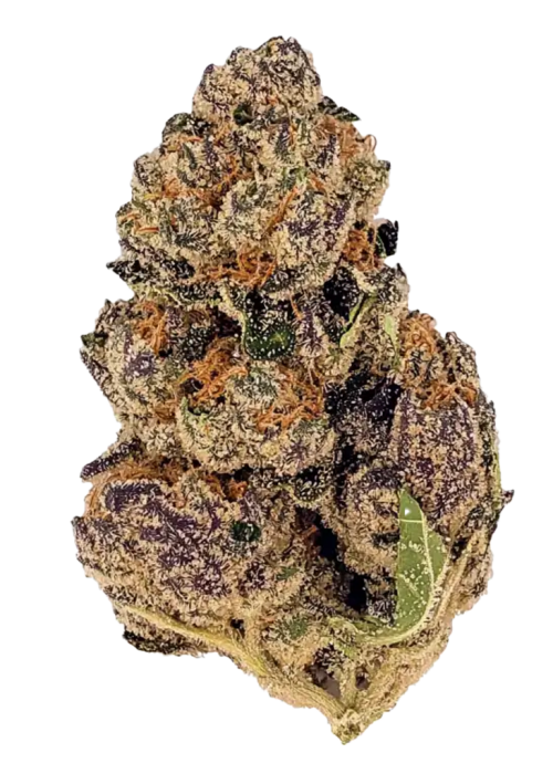 Tropicana Cookies