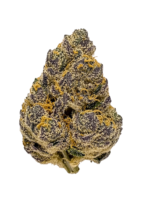 Monster Cookies