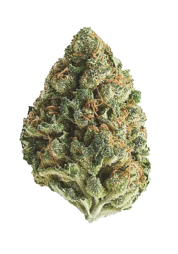 Planet of the Grapes