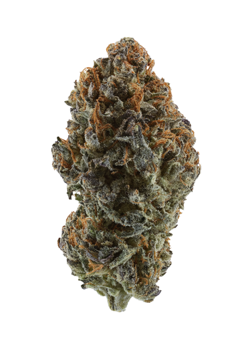 Pink Gelato