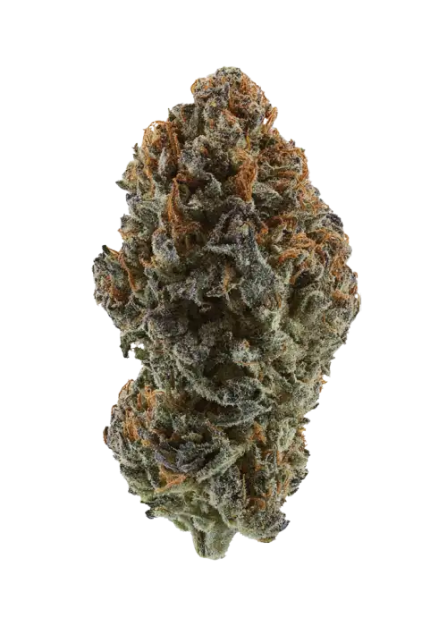 Pink Gelato
