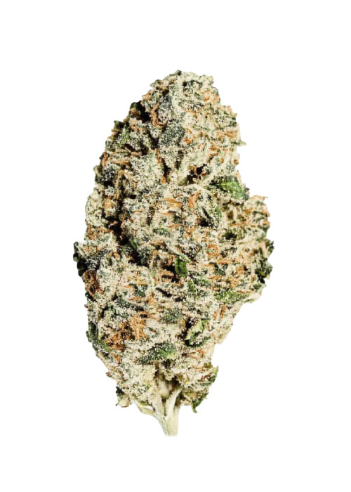 Tropical Cookies