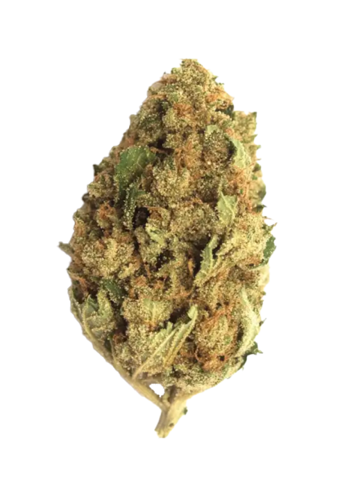 Bubble Gum
