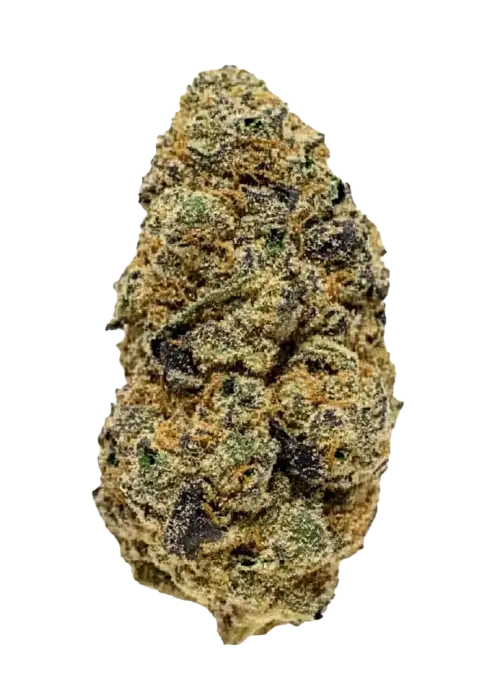 Truffle Butter