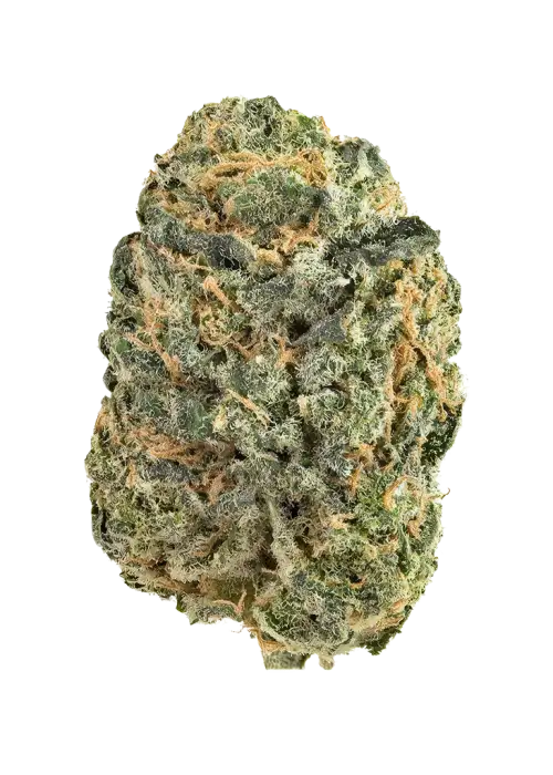 Cherry Sunrise