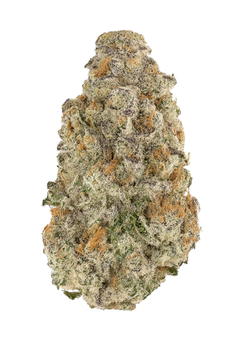 Mother's Milk