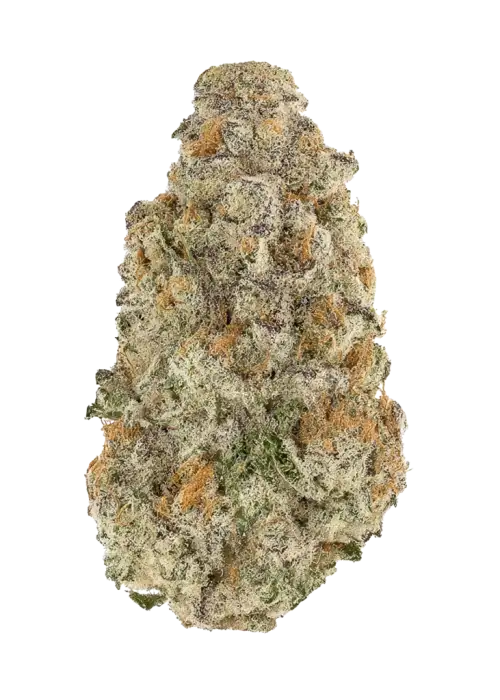 Mother's Milk