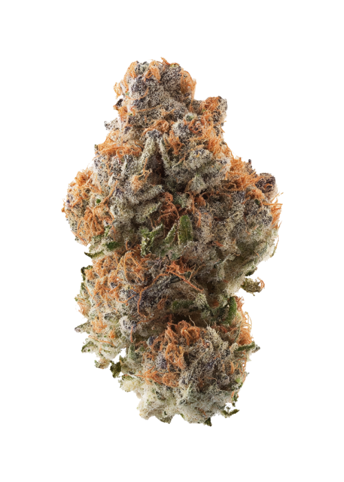 Dragon's Breath