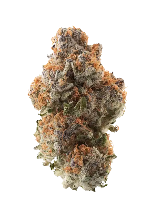 Dragon's Breath
