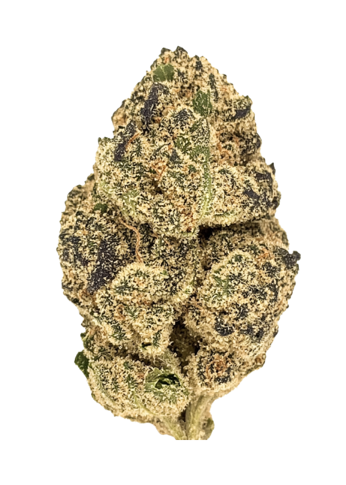 White Tahoe Cookies