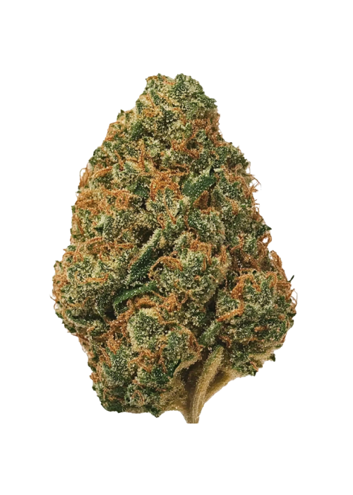 Papaya Cake