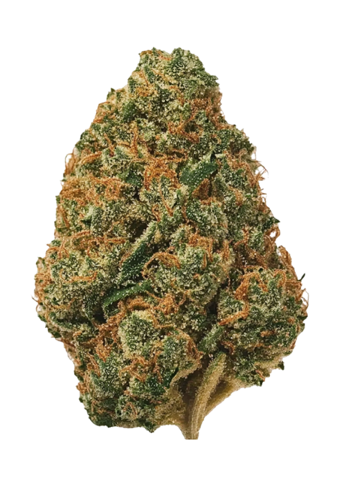 Papaya Cake