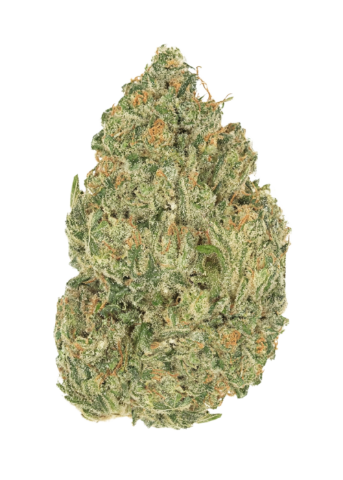 I-95