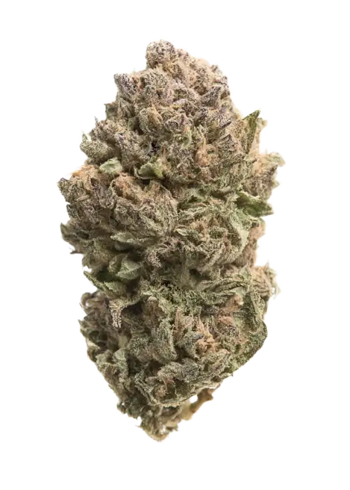 Blue Widow