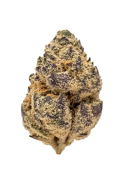 Blue Widow