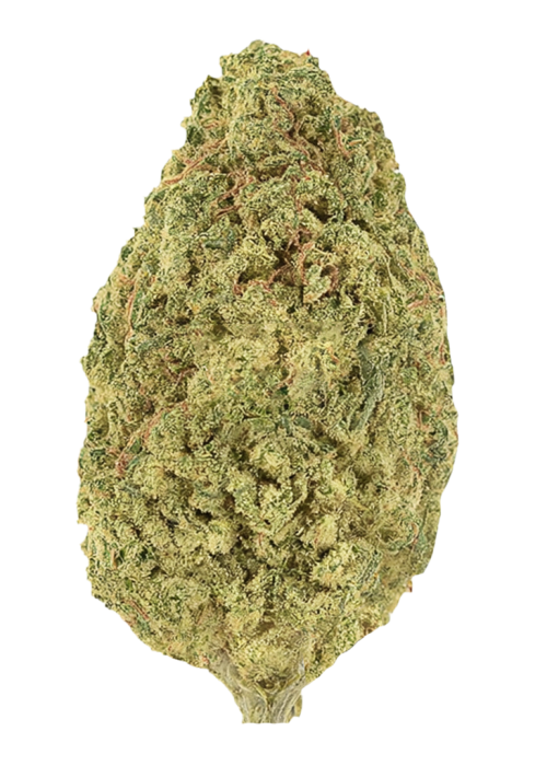 Biker Kush