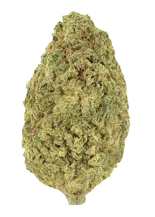 Biker Kush