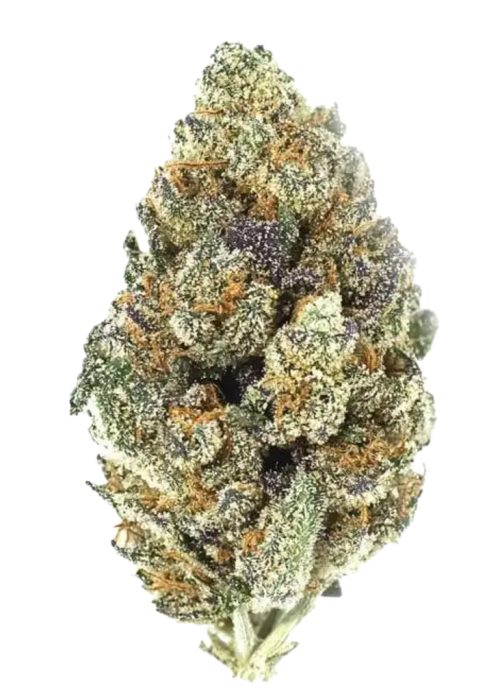 Peanut Butter Breath