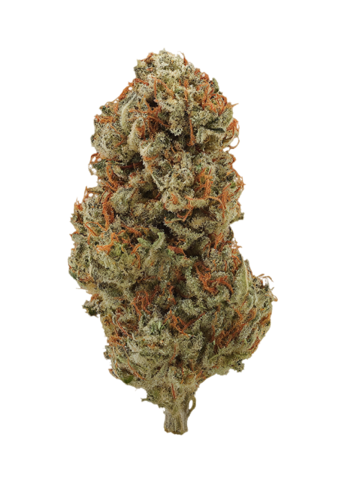 Blue Monster