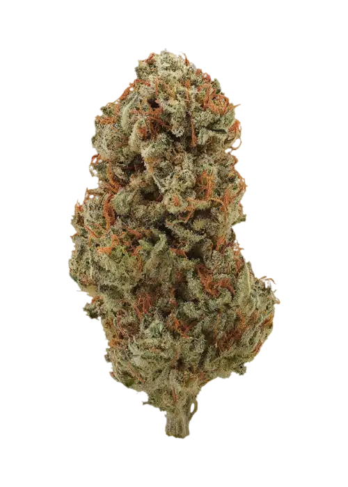 Blue Monster