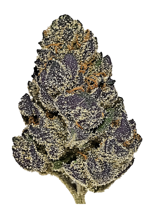 Eye Candy