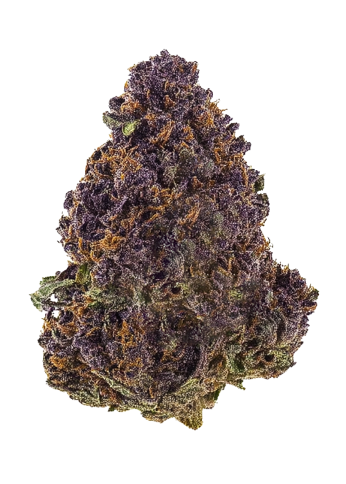 Huckleberry
