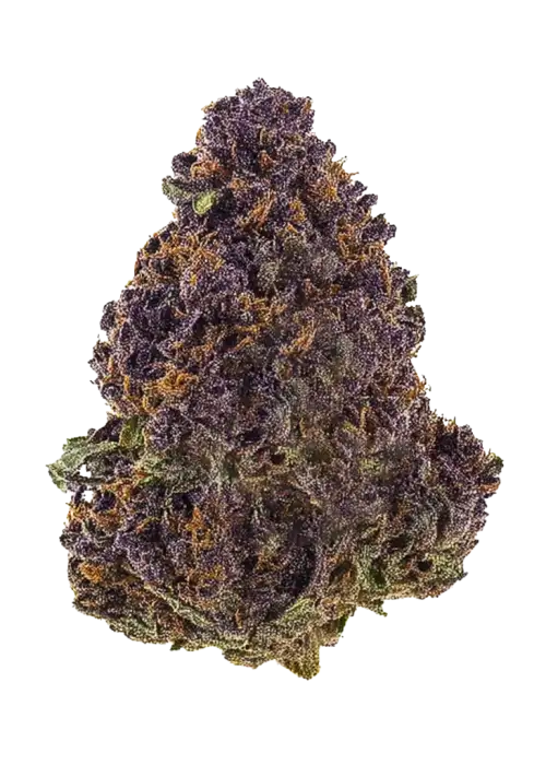 Huckleberry