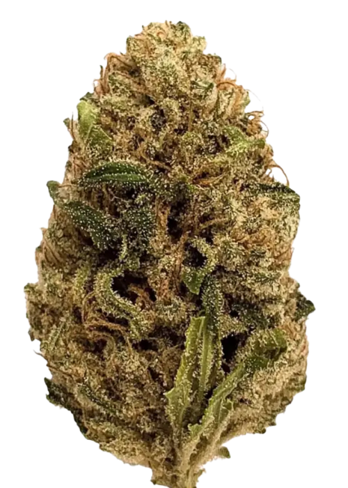 Skywalker OG