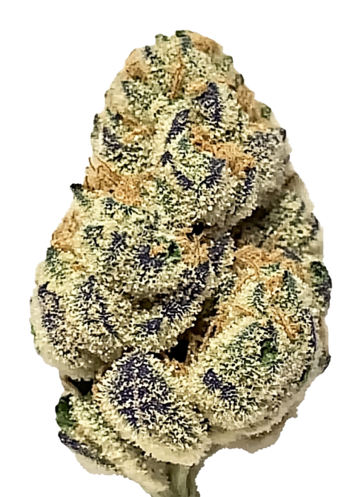 Goji OG