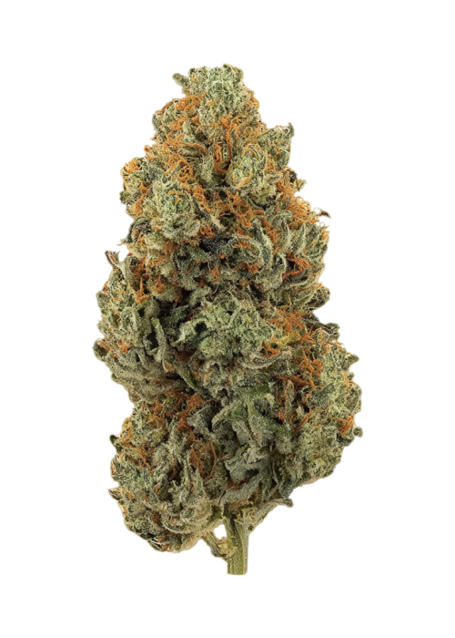 Tutti Frutti