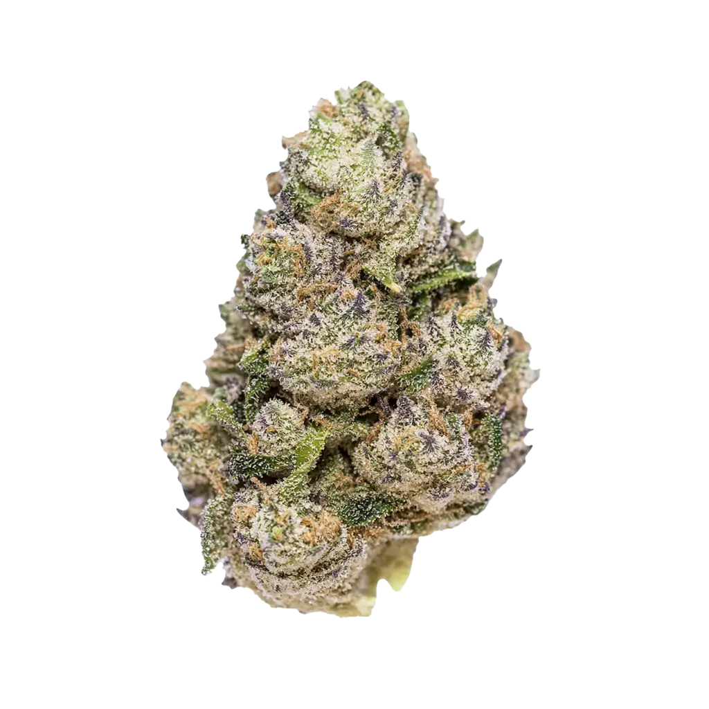 Xeno Cannabis Strain Products - GrowDiaries