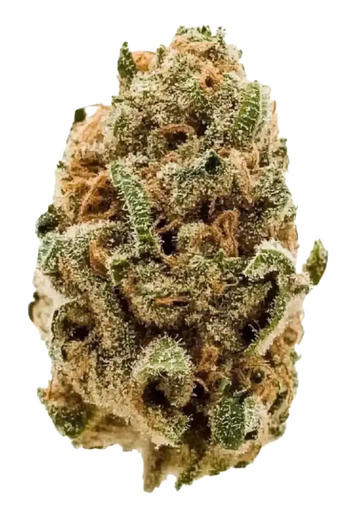 Blueberry