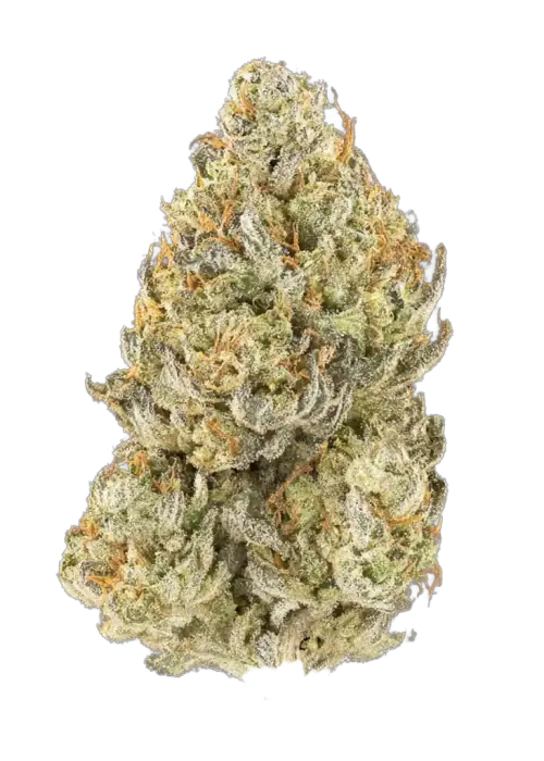 Lucid Lemon