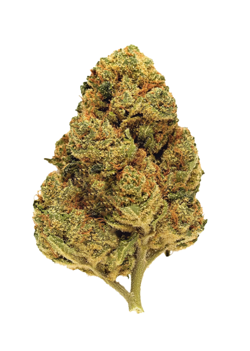 Lemon Cookies