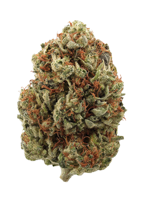 Bubblegum Kush