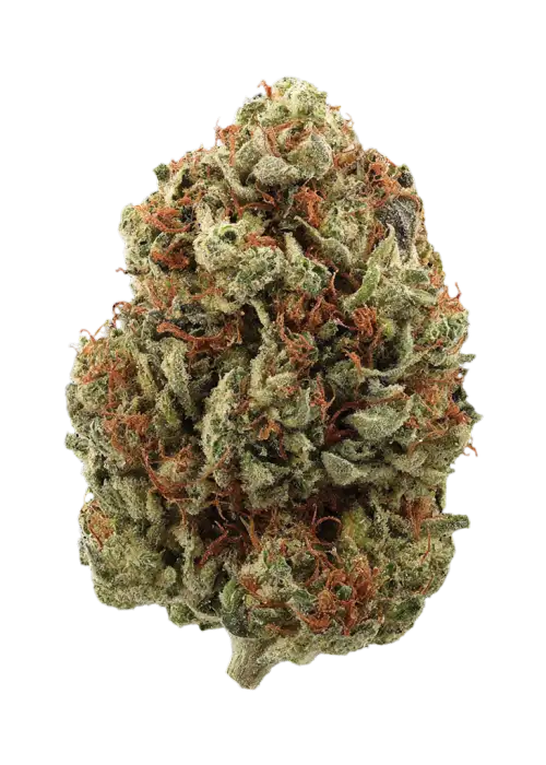 Bubblegum Kush