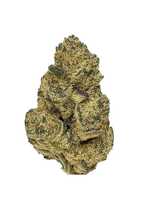 Florida Kush