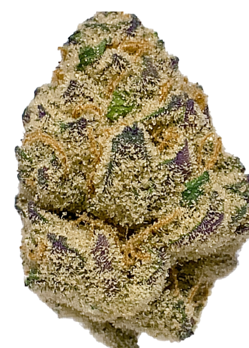 Dragon Fruit