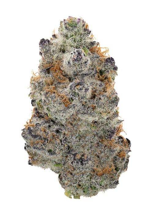 Gelato