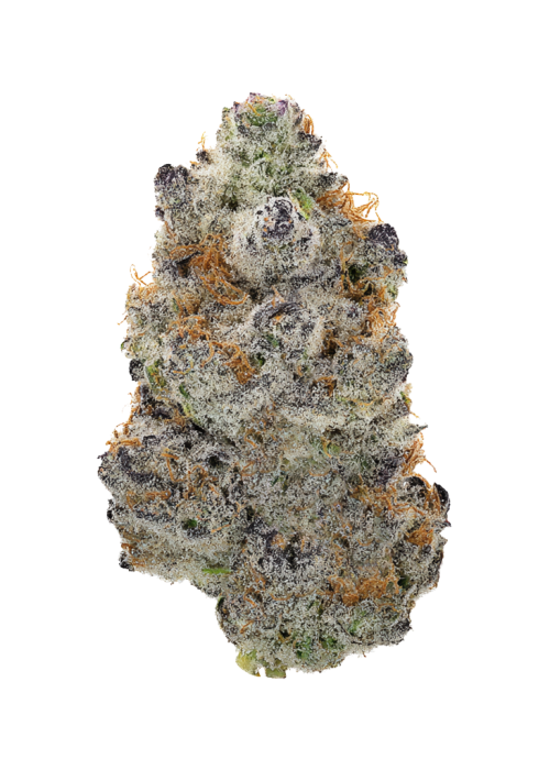 Gelato