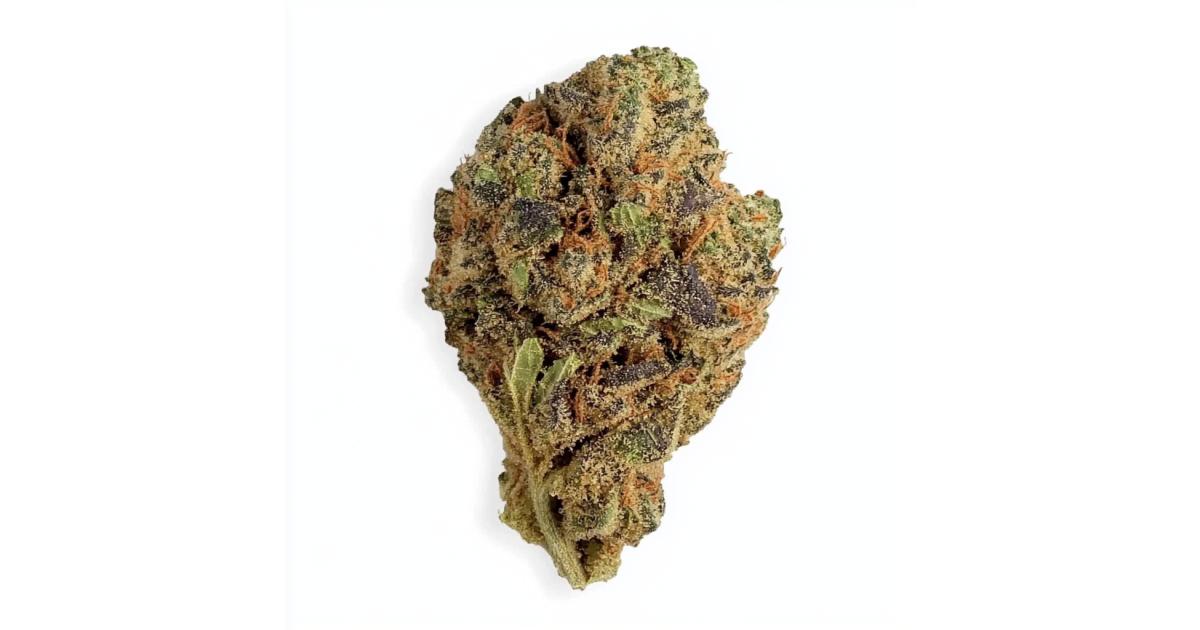 gelato-cannabis-strain-info-growdiaries