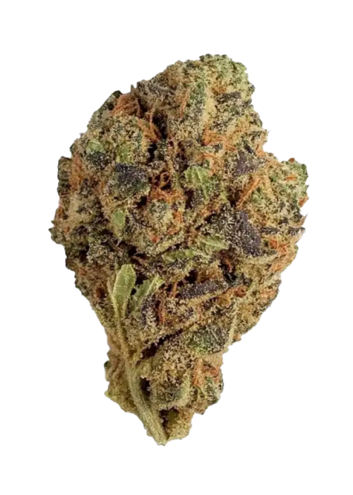 Gelato