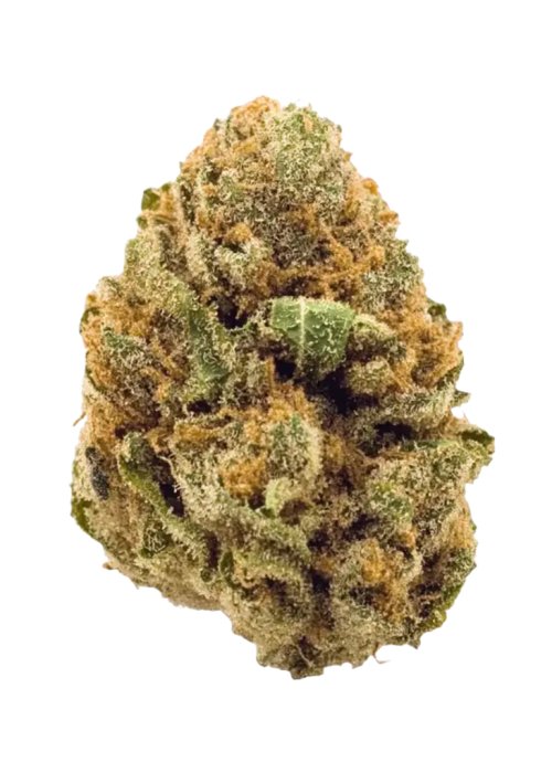 Stardawg