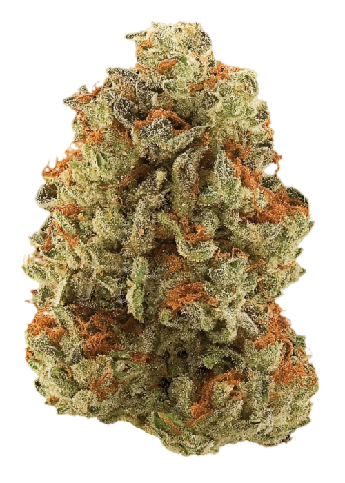 Magic Melon