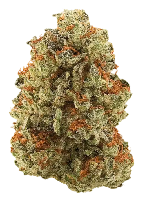 Magic Melon