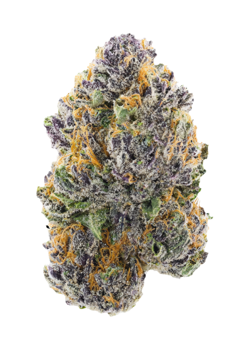 Purple Afghani