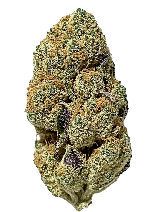Vanilla Cake