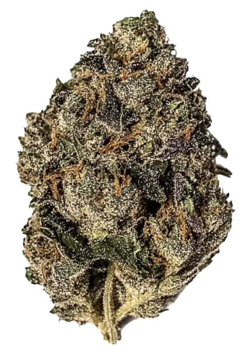 Gelato #33
