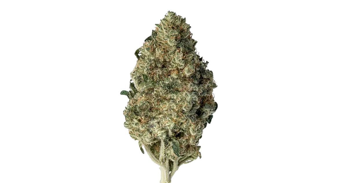 Cannatonic cannabis strain